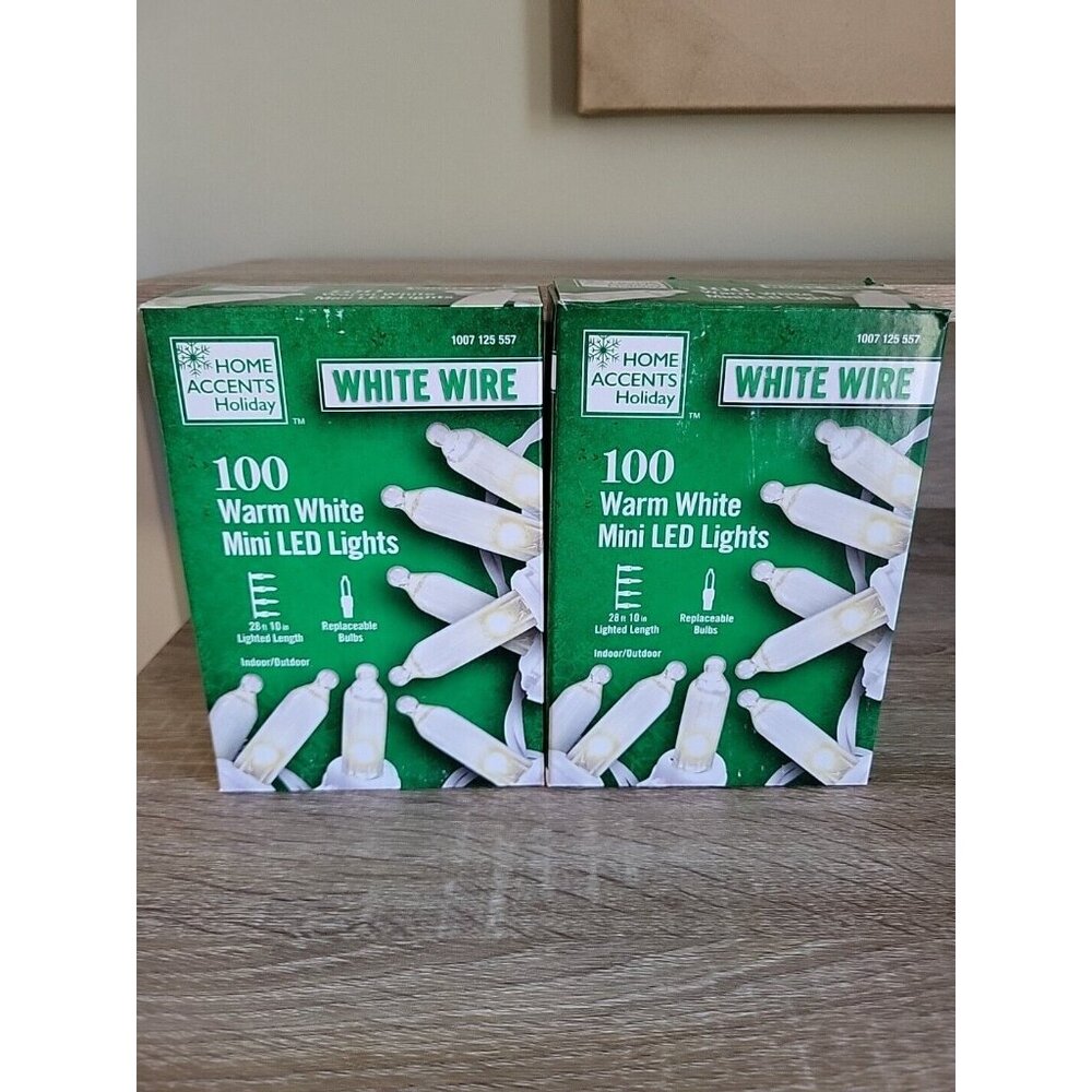 Home Accents 100ct x2 Warm White LED Mini String Lights Christmas White Wire